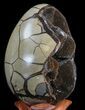 Septarian Dragon Egg Geode - Black Crystals #40937-2